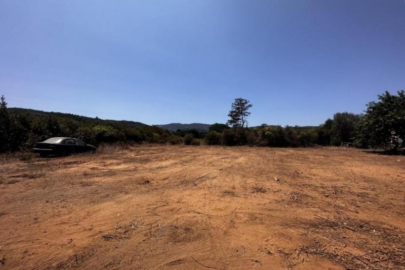 Alikianos Kreta - Alikianos: Flaches Baugrundstück, perfekt für Ihr Traumhaus Grundstück kaufen